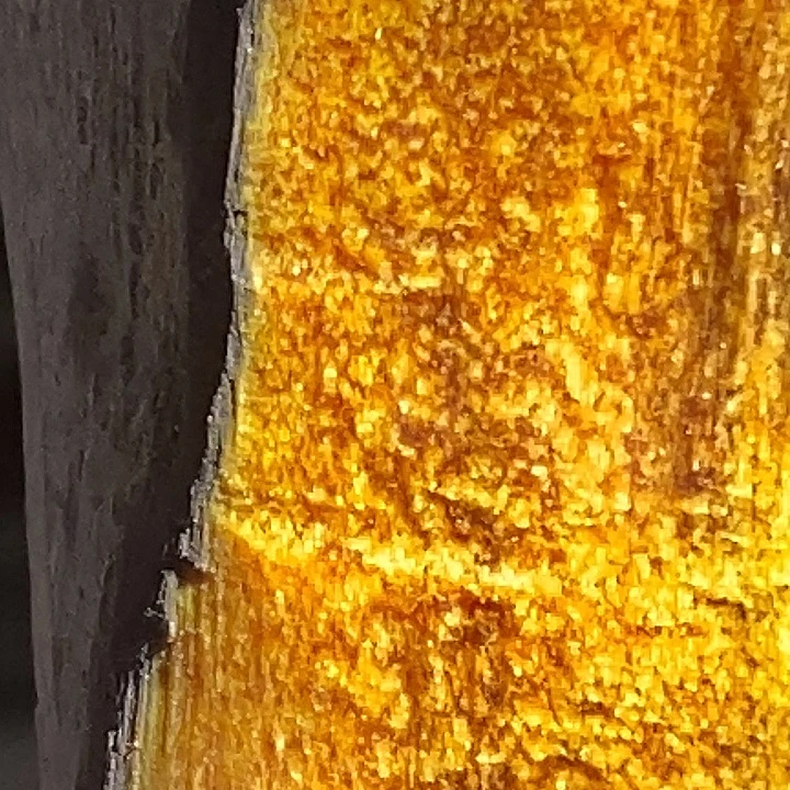 贡木把件琥珀底的黄金龙