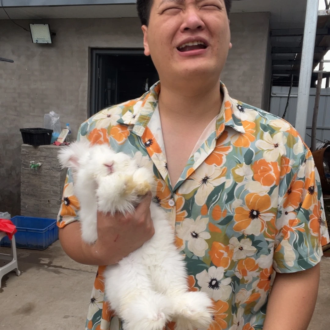 千***心1111111111111宠物