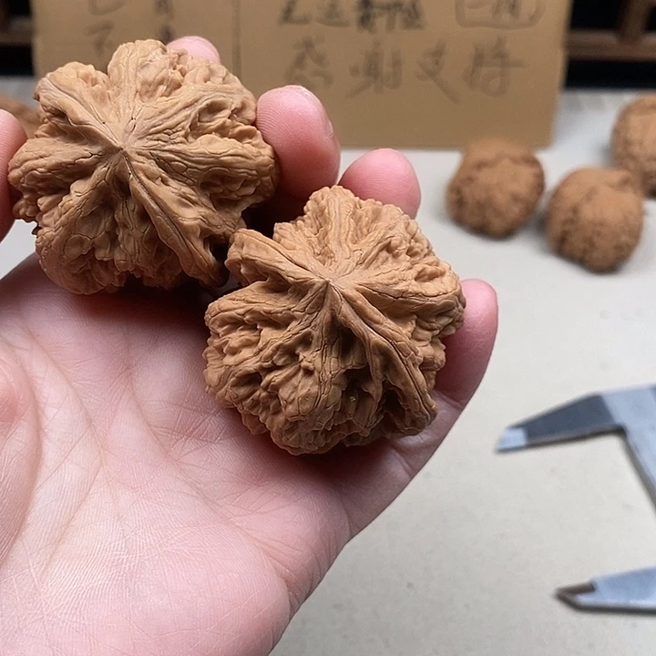 明****龙脊菩提吊坠10.10.0.10.10.1