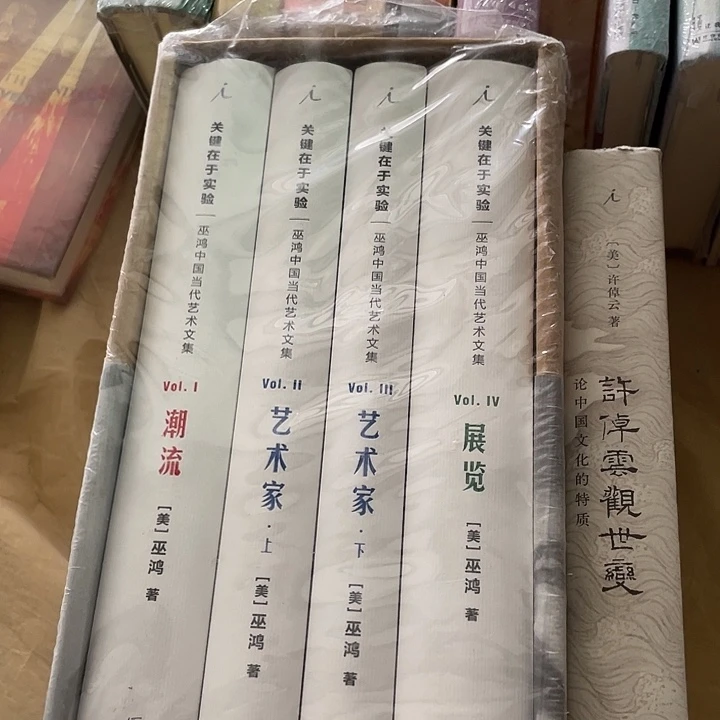巫鸿➕观世变两本微瑕