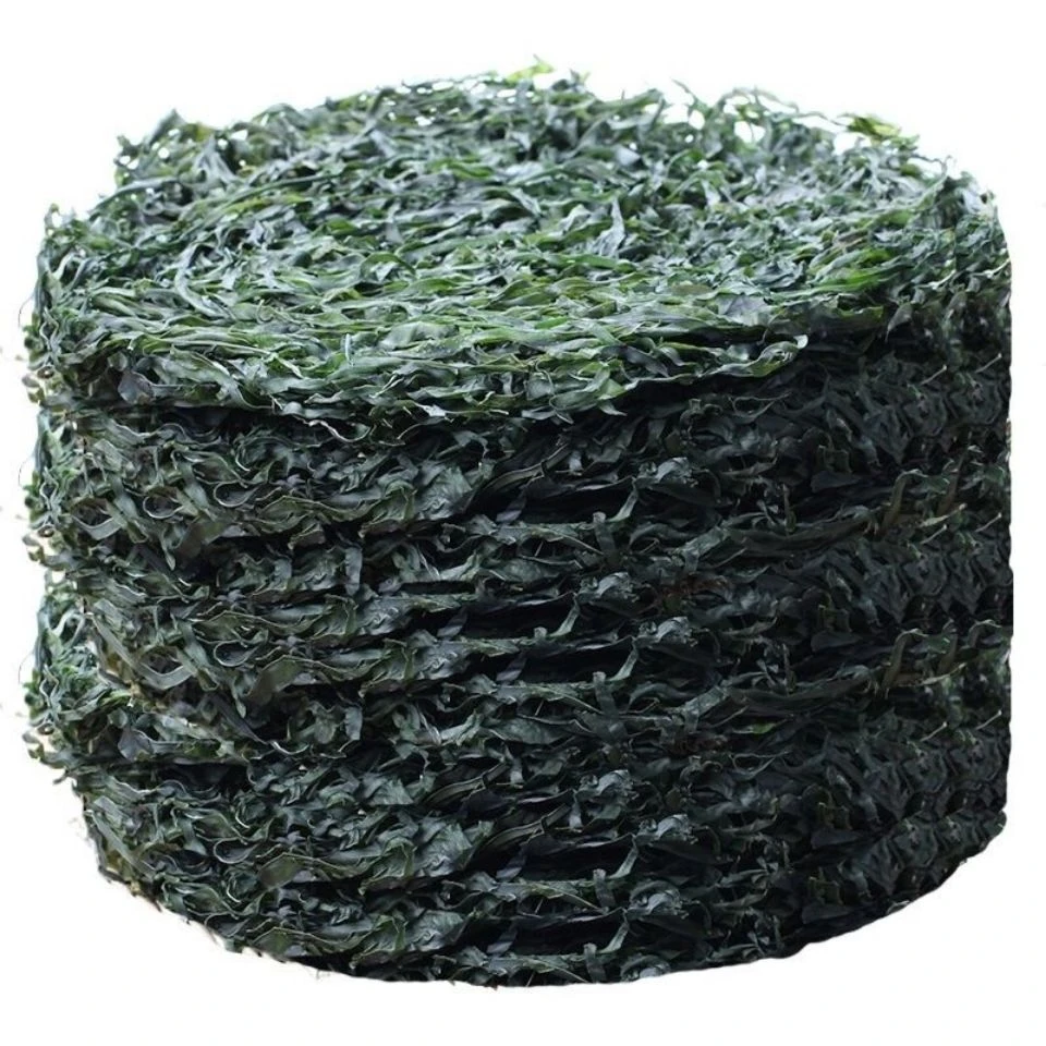 【小丸子】海带丝 凉拌菜新鲜煮汤