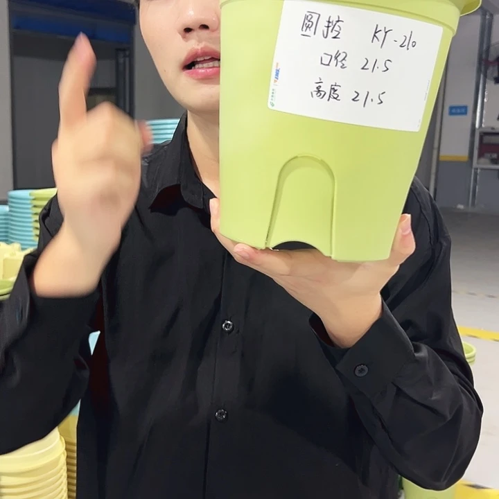 特价圆控口21高21果绿色5只无托