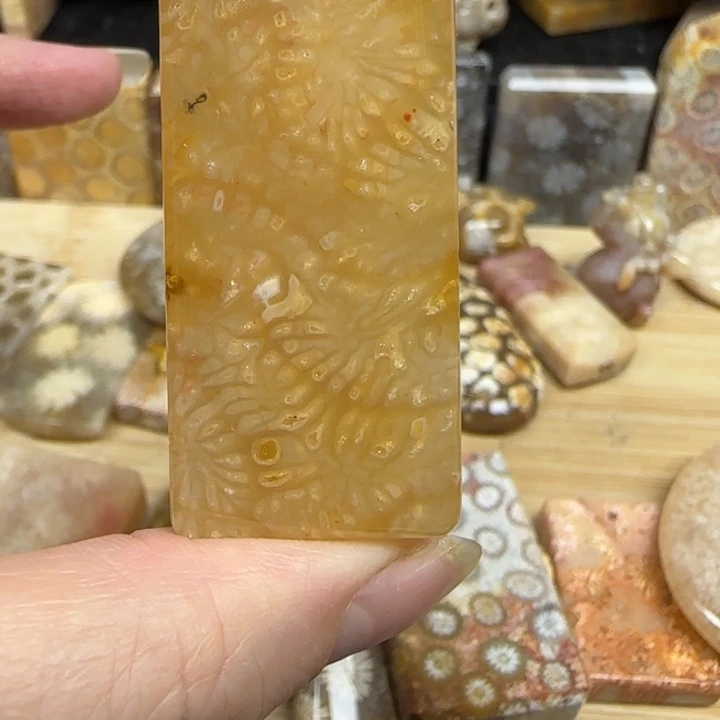 硅化玉未镶嵌颈饰冰龙骨