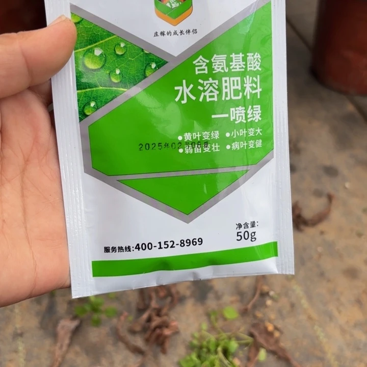 瑞妈多肉园艺1包，包邮，