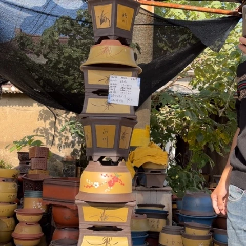 花盆紫砂特价特价包邮送