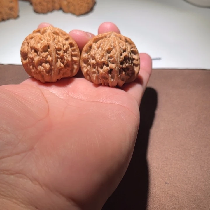 一****精品白狮子40尺寸