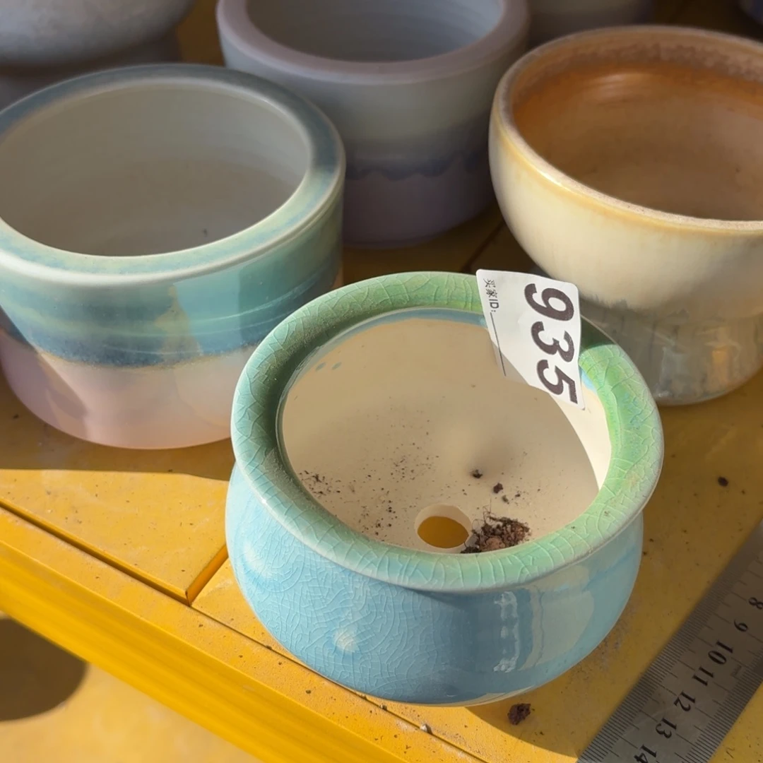 *****景德镇多肉花盆935