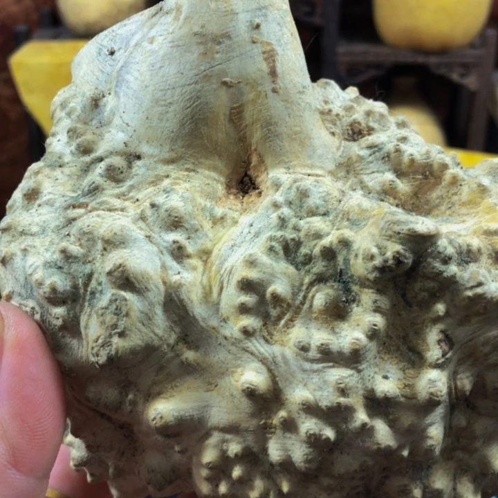 木3*1木料木料木料木料