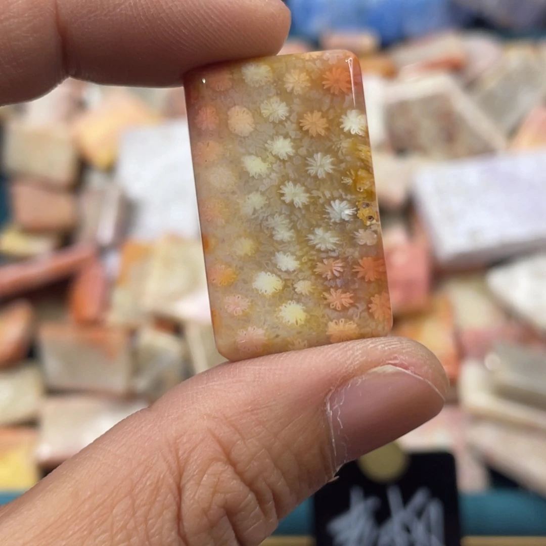 未镶嵌手镯硅化玉