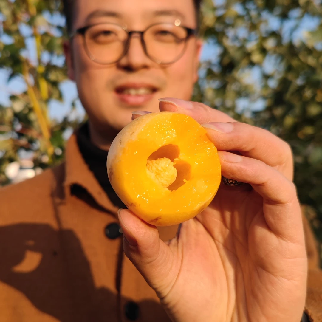 云南人参果树上熟新鲜应季水果清甜爆汁包邮
