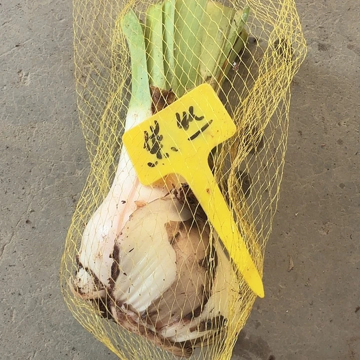 条纹黛丝一兜一个残次