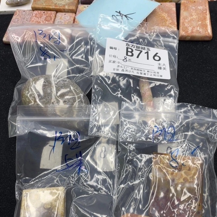 硅化珊瑚（珊瑚玉）颈饰合金阳