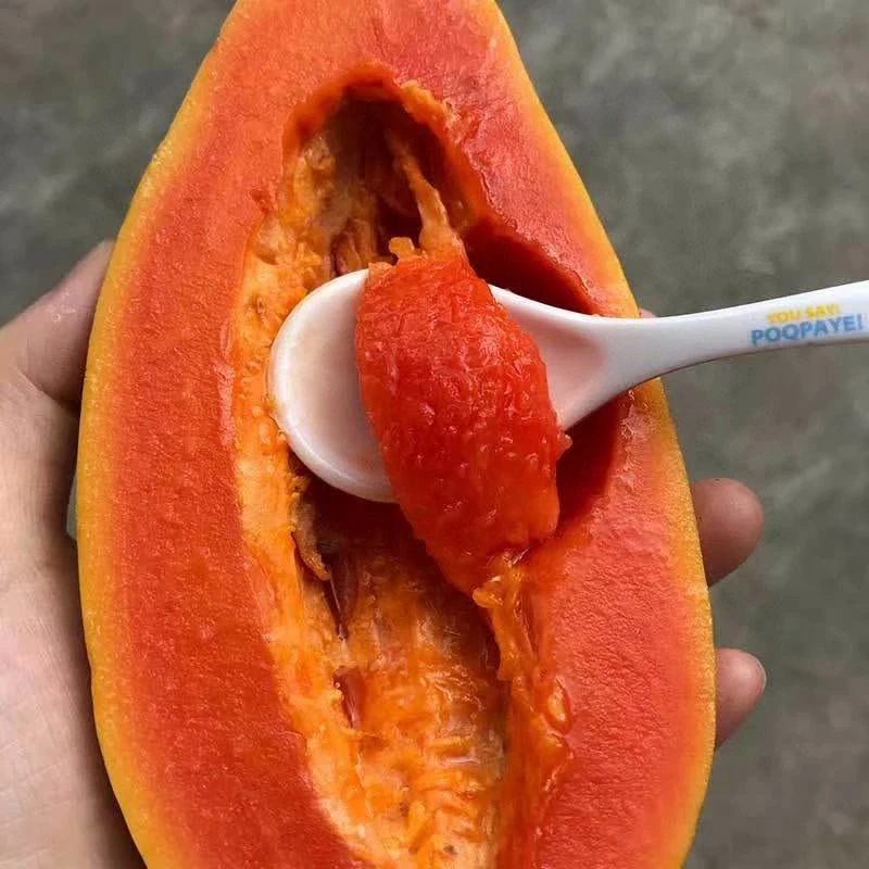 【新鲜红心木瓜】香甜细腻水果牛奶软糯果园直供自然树上半熟发货