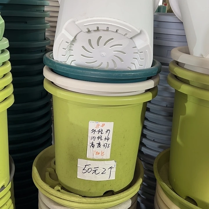 微瑕8#口径39无托果绿3个