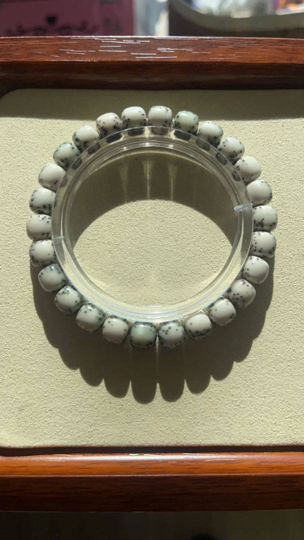 9河豚海南原生态星月菩提