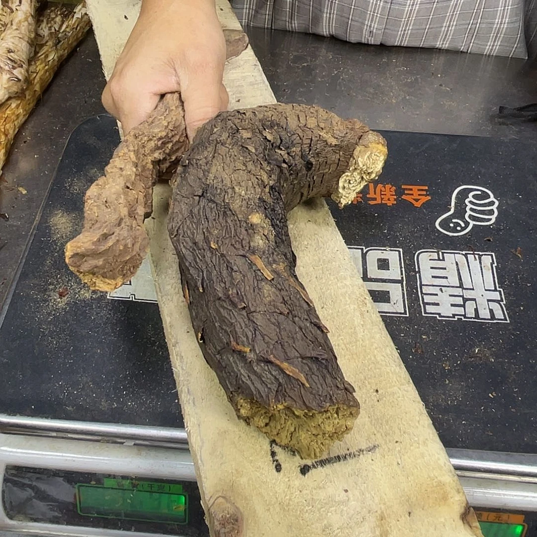 中国大陆阿拉善沙漠的秋季鲜果