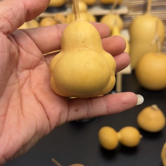 云*云156.86998999888