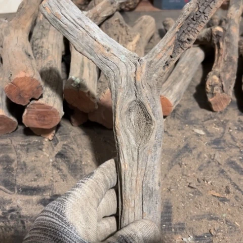 大果紫檀（缅甸花梨）小*