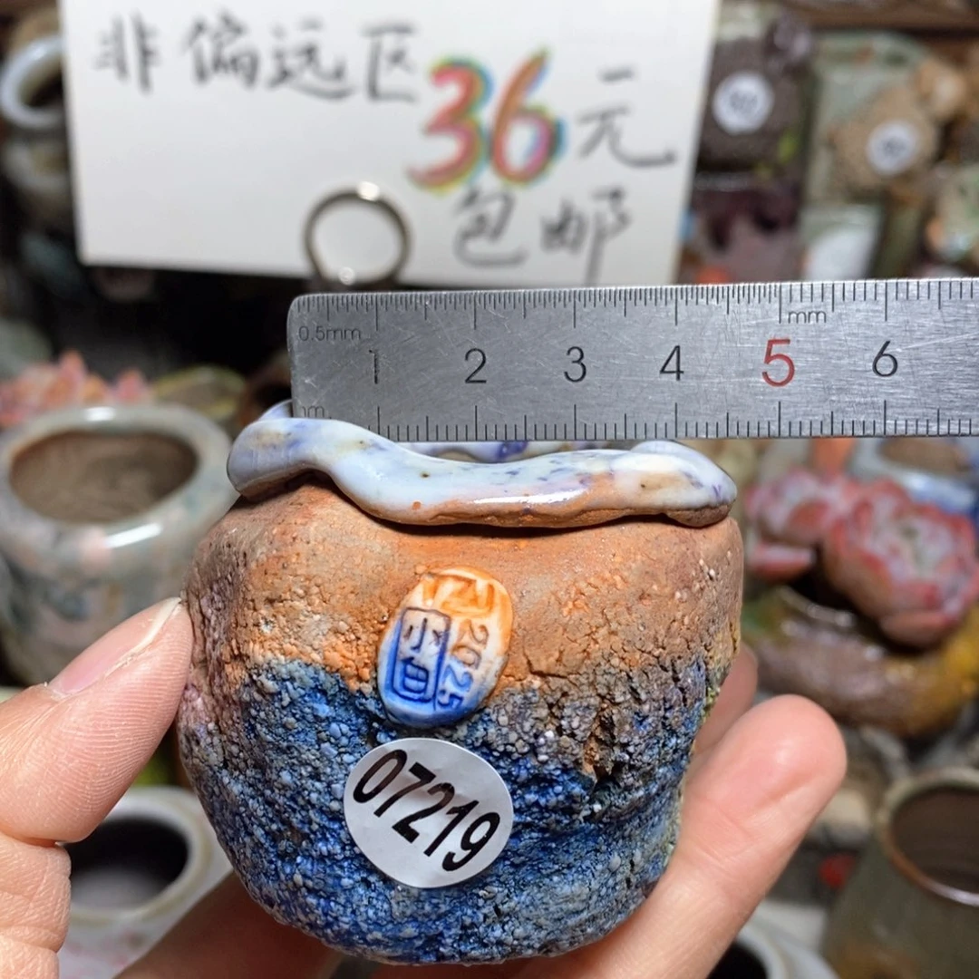 花盆拍3送一个小礼物