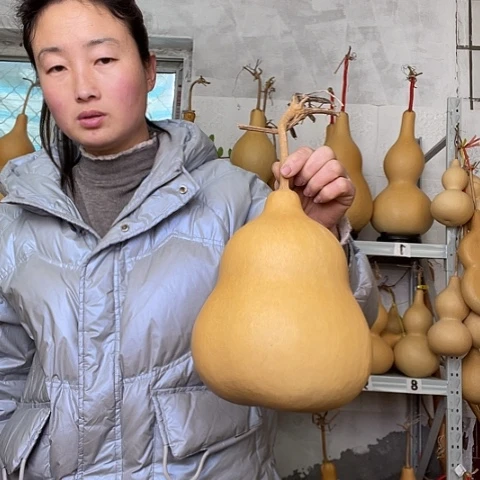 6**8天然植物葫芦文玩