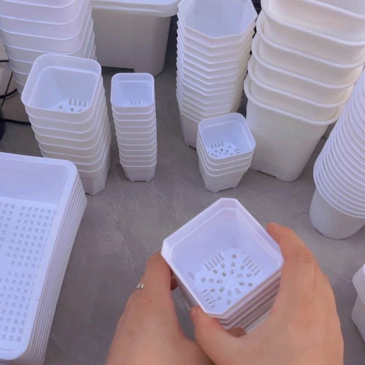 白方口7高7一组30个