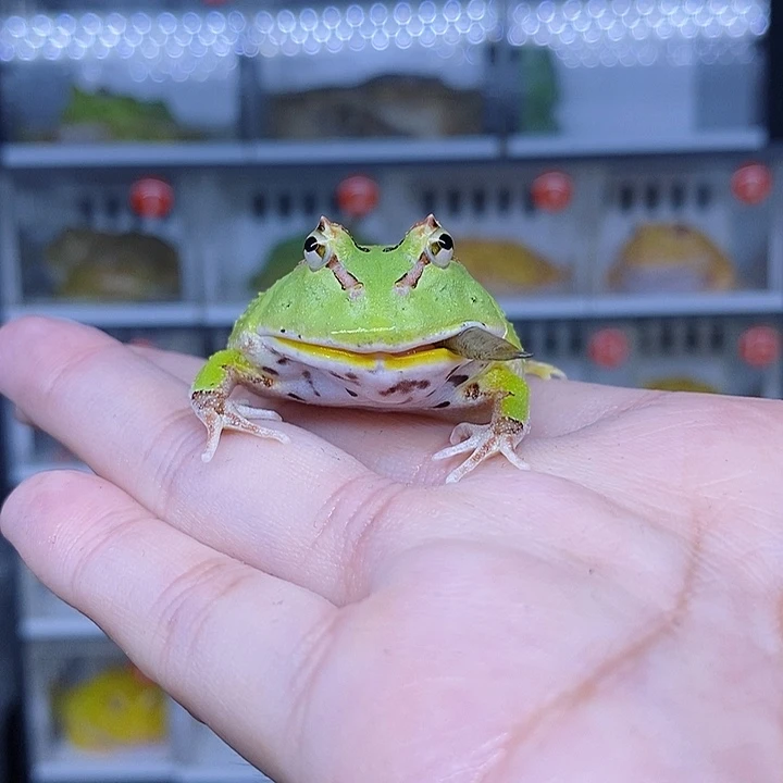 特价秒杀现货特价残