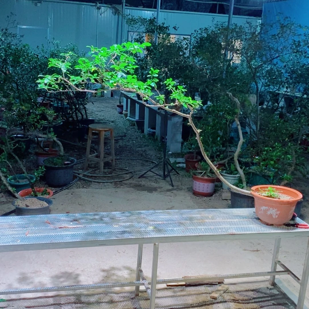 感谢您的支持和配合