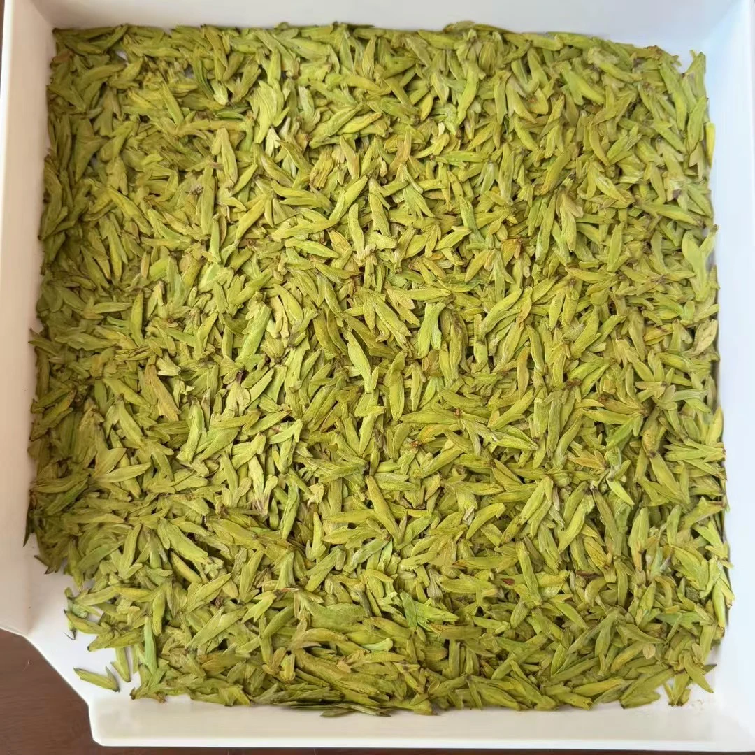 2025新茶浙江明前头采乌牛早龙形绿茶125了