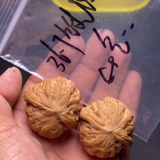 【闪购商品】把件文玩核桃用****3铁锤