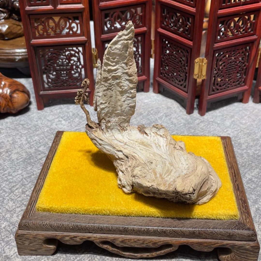 【闪购商品】木柚*