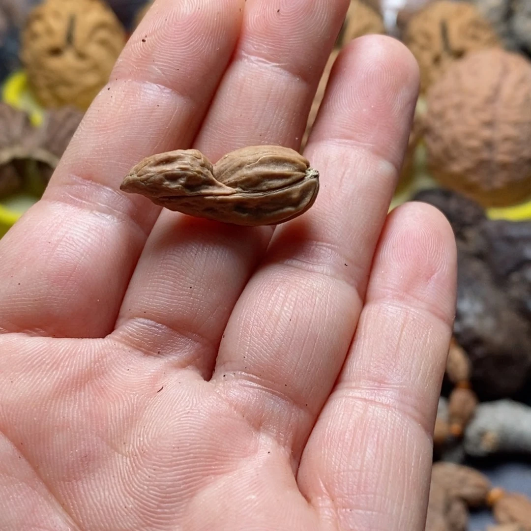 文玩核桃吊坠核桃103