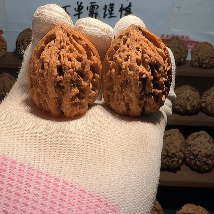 ℤ***鬼秦岭野生无名鸡心