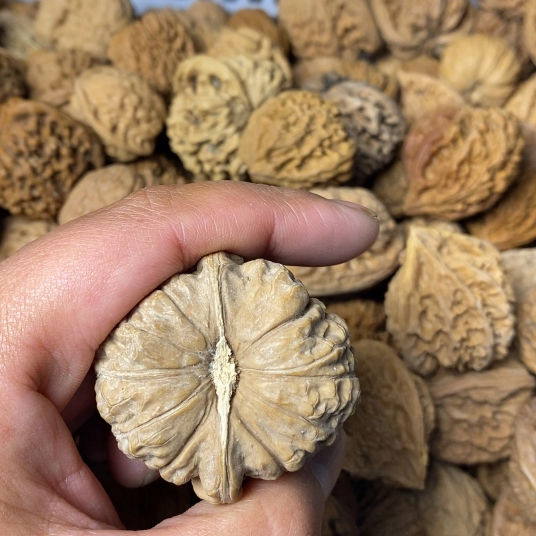 鸿***大叶紫檀（黑酸枝木类）