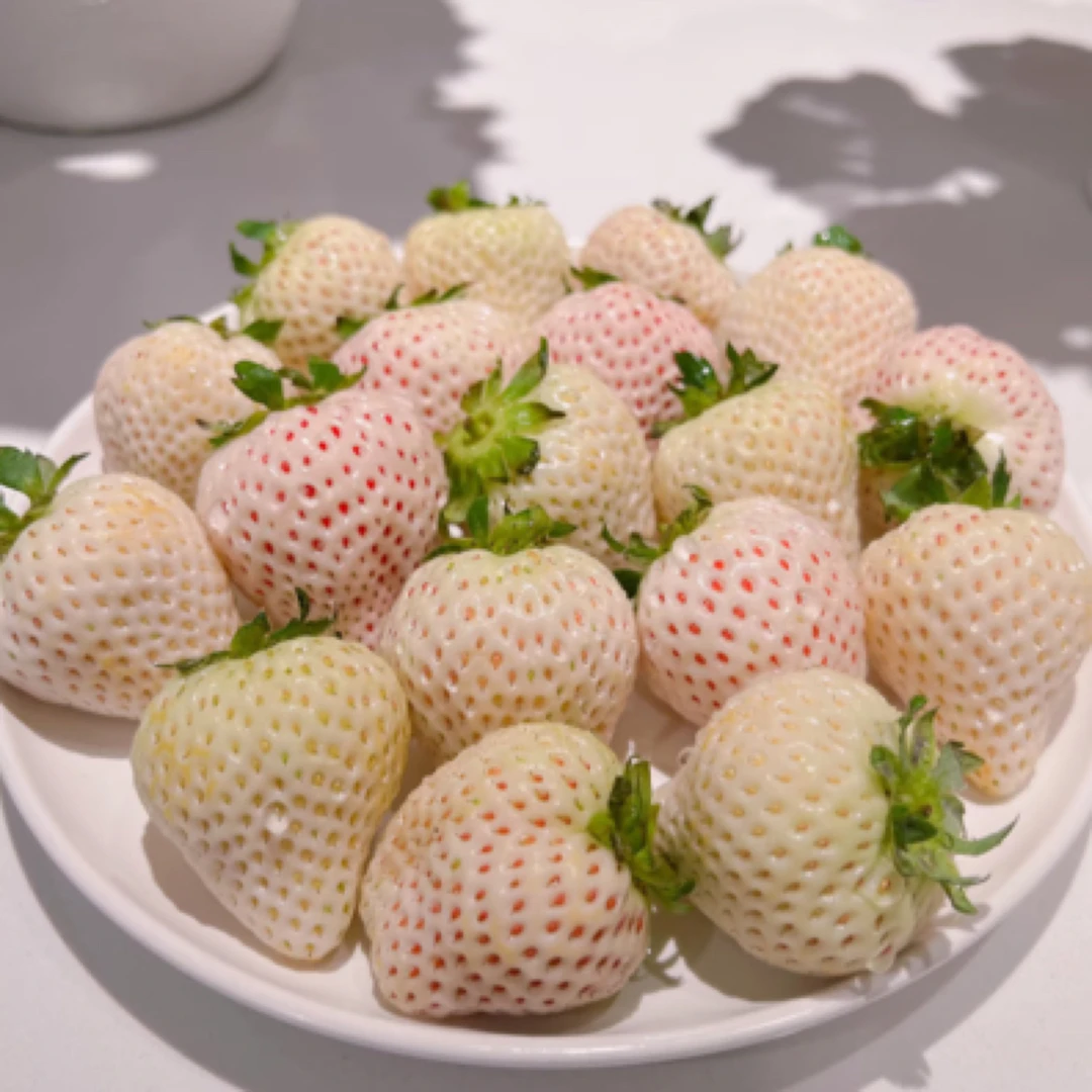 天使草莓礼盒