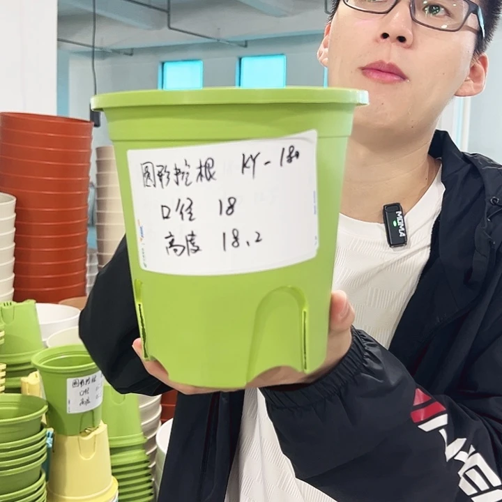 正品圆控口18高18果绿无托8只