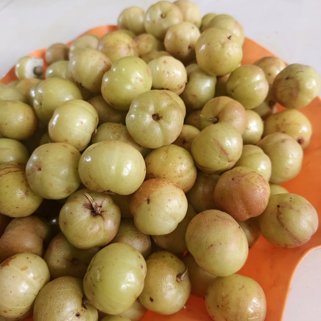 云南橄榄飞哥金糯甜橄榄