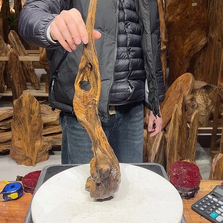 松木（琥珀木）童**老