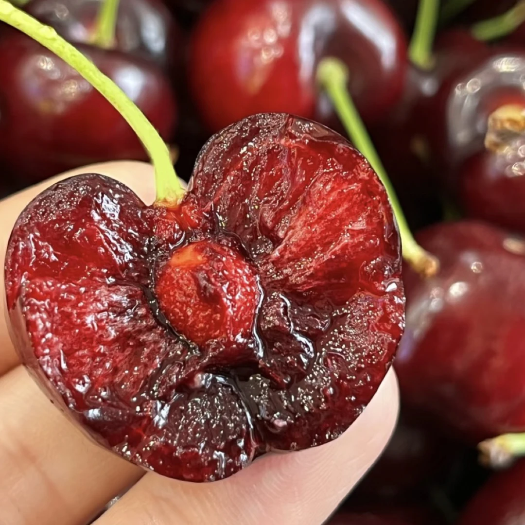 海运桑提娜3JD车厘子5斤桑提娜智利