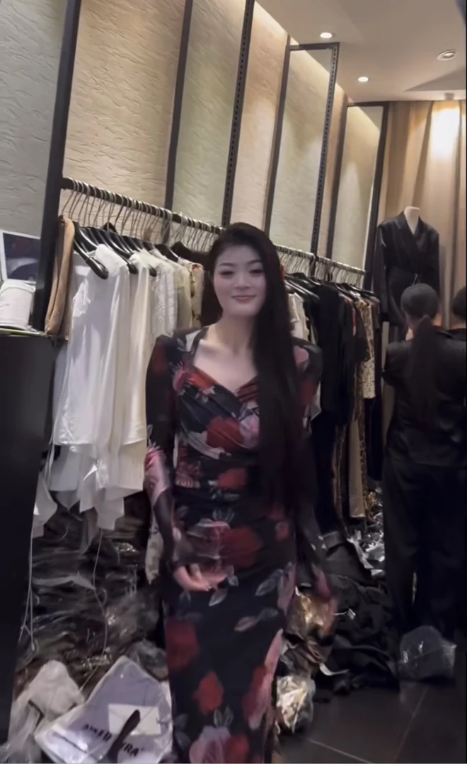 梅子【绝美女人】高品质御姐气质绝美印花包臀网纱连衣裙