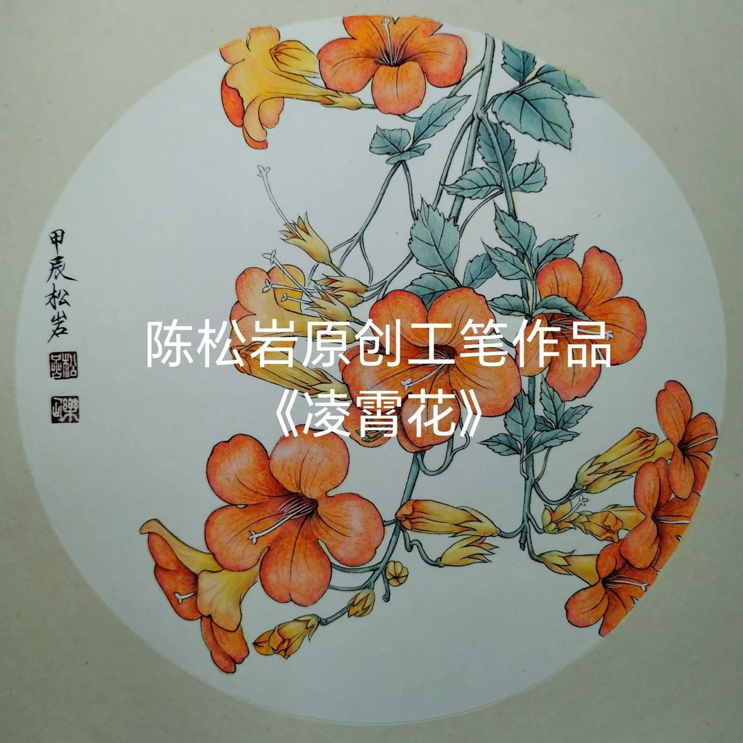 《凌霄花》工笔视频课  共6讲  陈松岩原创工笔课