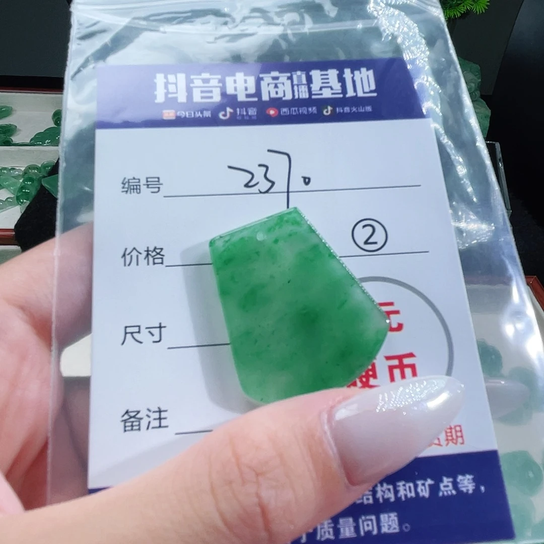 石英质玉未镶嵌颈饰雏*·