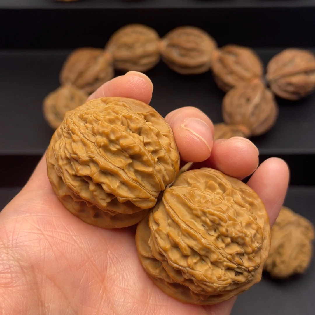 核桃秦岭核桃35号