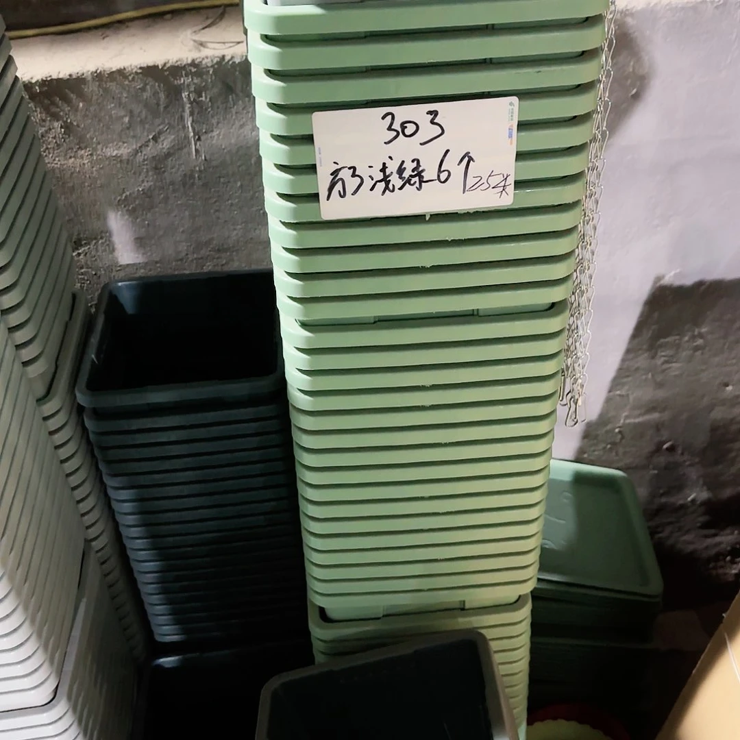 红陶编号是303号带拖