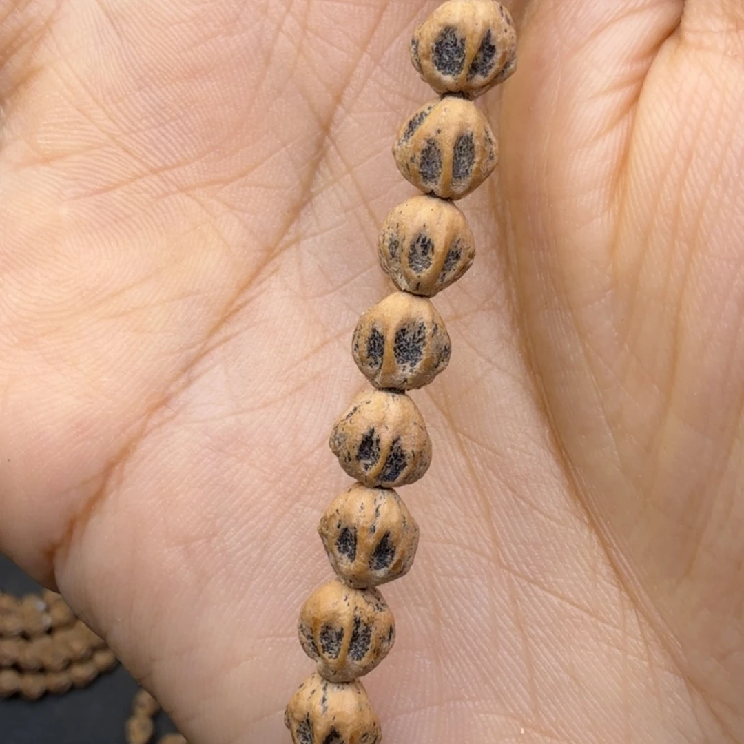 塞***来柏香籽/百香籽吊坠星舰