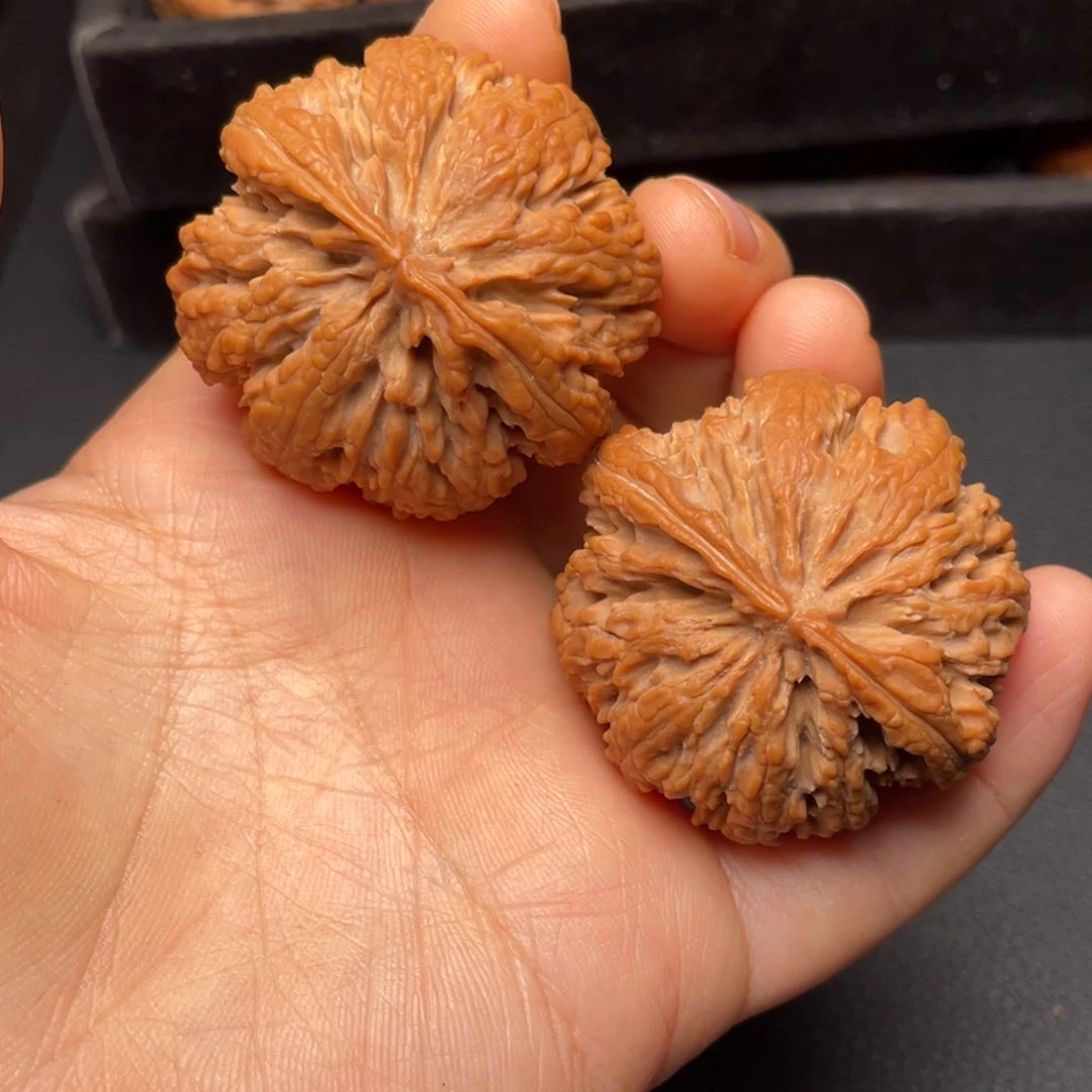 秦岭山脉文玩核桃