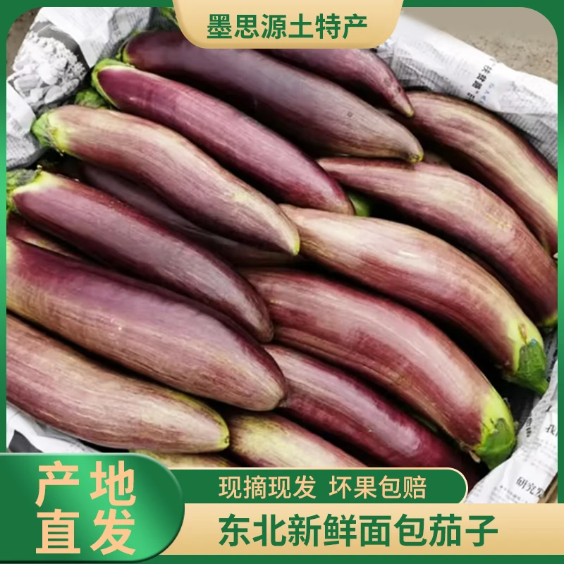 面包茄子东北特产面包茄子新鲜现摘软烂易熟下饭菜3/5斤包邮