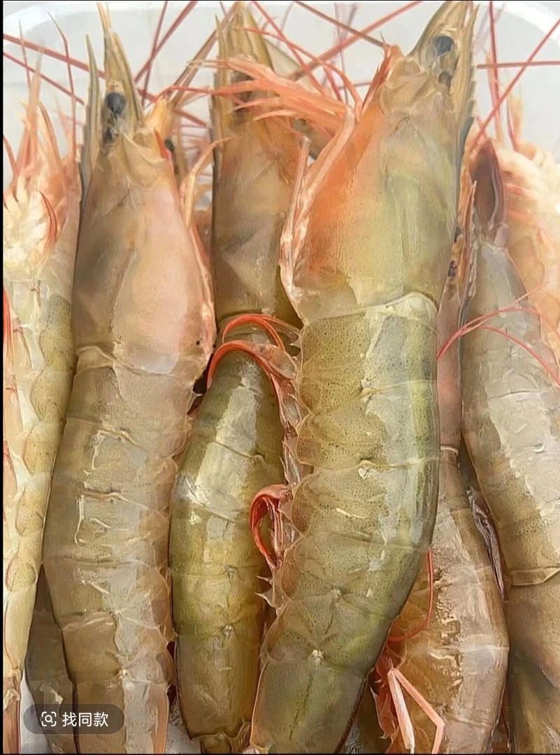 北海本港野生麻虾，沙卢虾，新鲜捕捞，[顺丰直达]