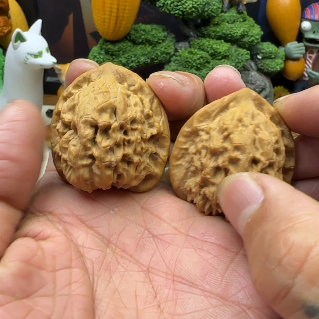 文玩核桃把件大红袍全品白茶