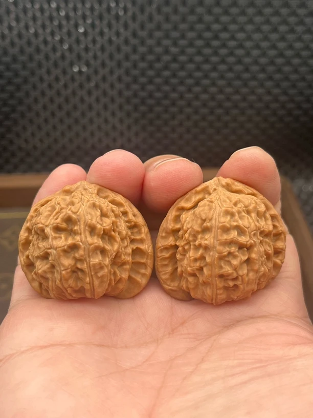 t1三角白矮桩秦皇岛山地果