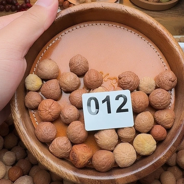 凤眼菩提吊坠散籽